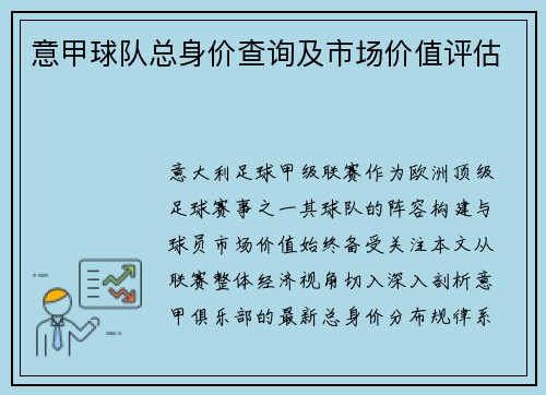意甲球队总身价查询及市场价值评估